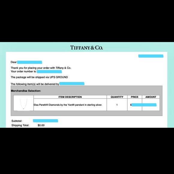 TIFFANY & CO. Diamonds by the Yard Single Diamond Pendant (Sterling Silver) - Picture 6 of 6